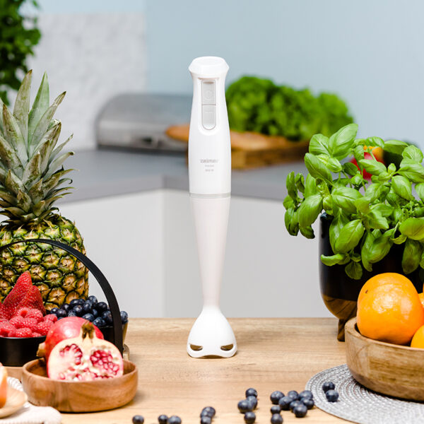 Блендер ручний Zelmer ZHB4560S 