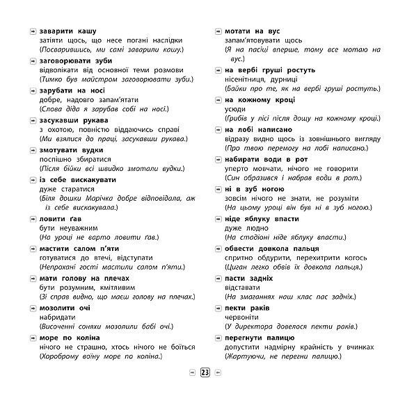 Книга Собчук Е.С. «Українська мова. Синоніми, антоніми, омоніми, фразеологізми. 1-4 клас» 978-966-284-529-7