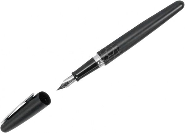 Ручка перьевая Pilot «Животные» FD-MR2-M-CDL-E 