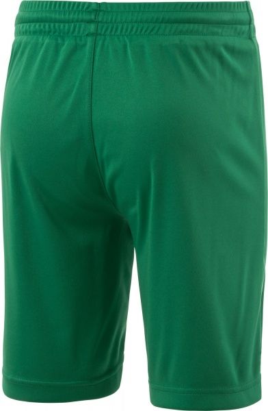 Шорти Pro Touch Son jrs 219405-760 р. 116 зелений