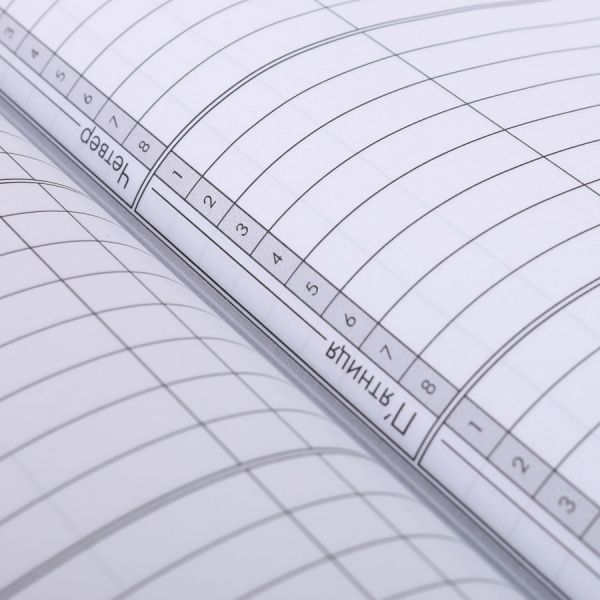 Дневник школьный Panda