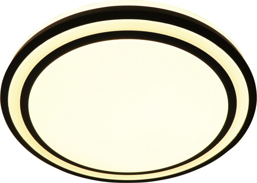 Светильник потолочный Sensio Palma 48 Вт белый 3000-6500 К AR-N250301151