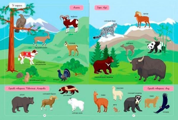 Книга Юлия Каспарова «Найкращий словник тварин» 978-617-09-5525-8