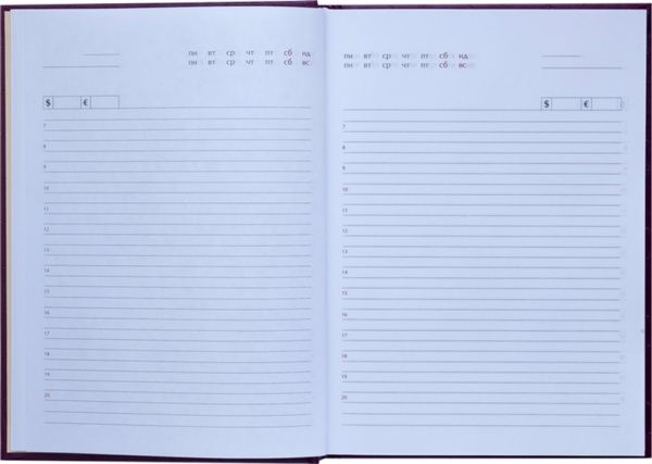 Щоденник недатований Perla А5 Фіолетовий 288 стр. Buromax 