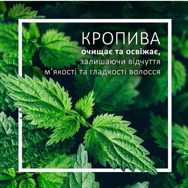 Шампунь Schauma Зеленое Яблоко и Крапива 400 мл