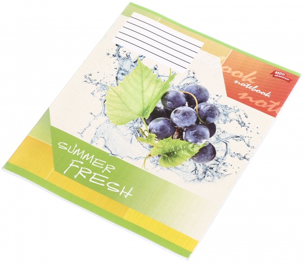 Тетрадь школьная 36 листов в линейку в ассортименте Мечты сбываются