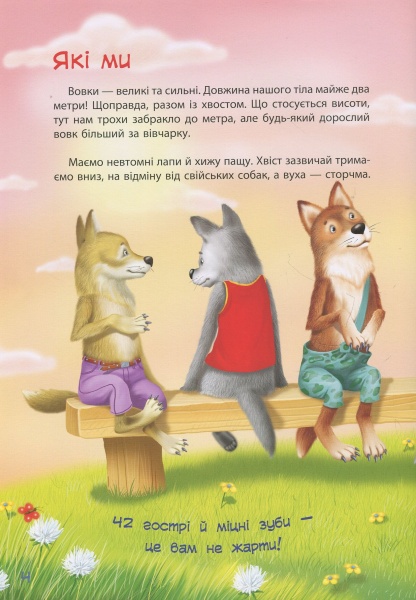 Книга О. Горбунов «Книга. Зірки PRO. Пан Вовк (у)» 978-617-09-4205-0