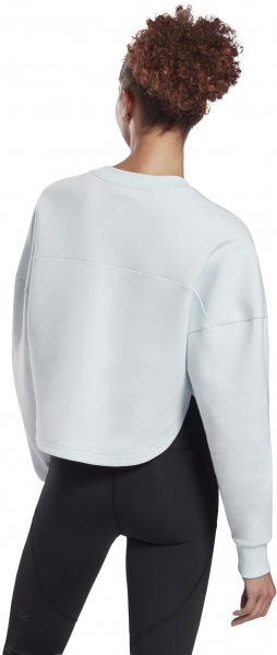 Джемпер Reebok TS DREAMBLEND COTTON ML GI6748 р. M блакитний