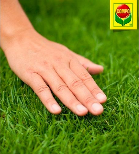 Добриво органічне Compo тривалої дії для газонів 4кг+4кг N2-3170-18