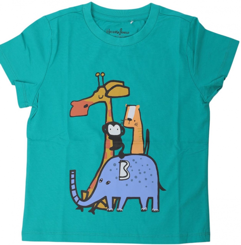 Футболка для мальчиков HW 2 шт. р.116/122 разноцветный 66051_55105