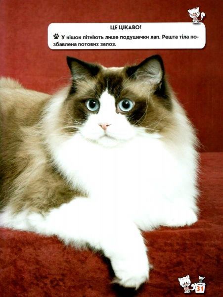 Книга Тамара Протасовицкая «Світ навколо нас. Кішки» 978-966-936-750-1