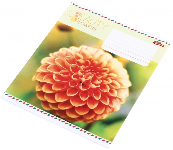 Тетрадь школьная 36 листов в линейку в ассортименте Мечты сбываются