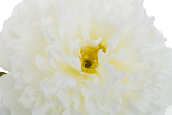 Рослина штучна Піон 1538 CR