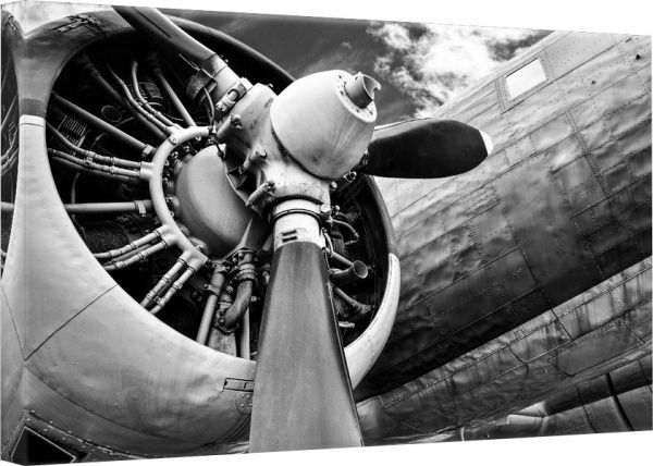 Репродукція Аероплан з ефектом срібла 113x85 см Styler 