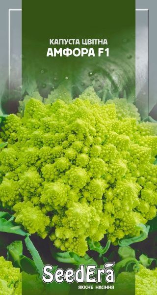 Насіння Seedera капуста цвітна Амфора F1 30 шт.