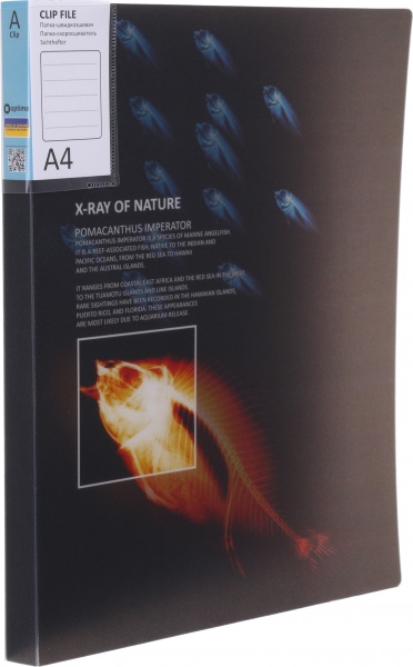 Папка Калейдоскоп А4 в ассортименте Optima