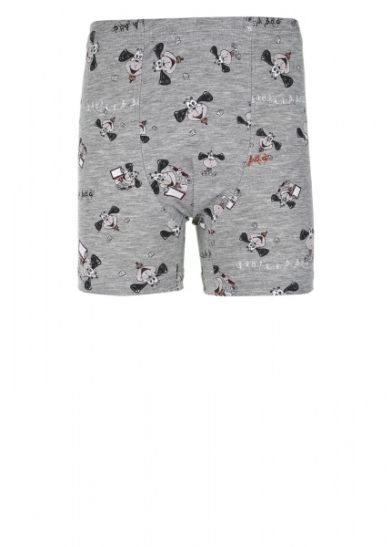 Трусы для мальчика DONI 75525 р.98-104 в ассортименте 