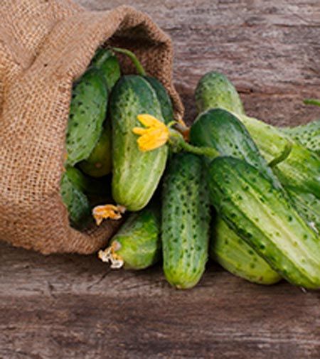 Семена Садовий Світ огурец Нежинский 1г