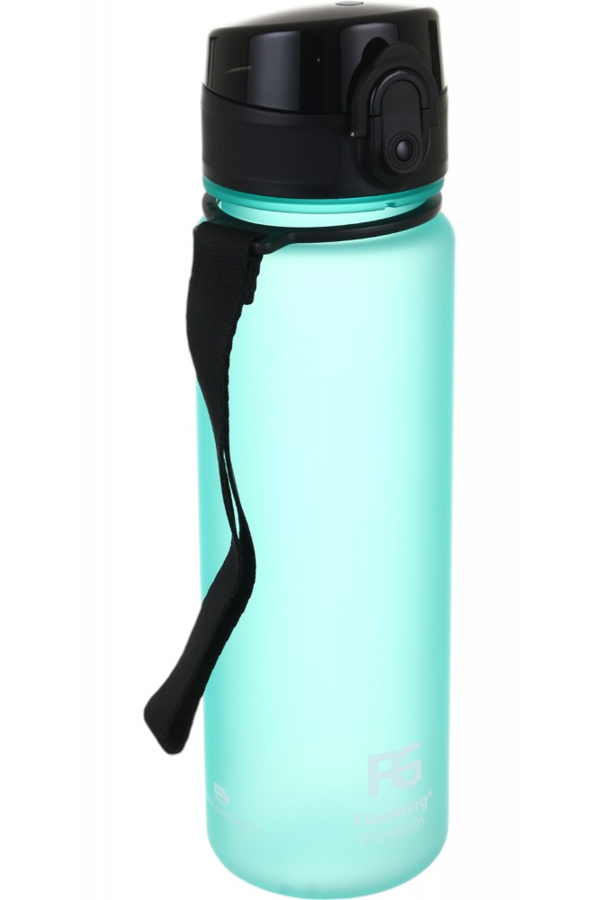 Бутылка для воды Flamberg Premium Frosted 500 мл голубой