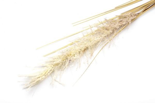 Гілочка декоративна Осока 118 см коричневого кольору Девілон