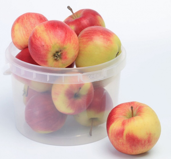 Відро Poliplast з пластиковою ручкою (харчовий пластик) 3 л прозорий 