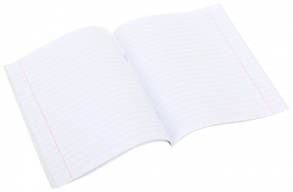 Зошит шкільний 12 аркушів лінія економ 2024 Nota Bene