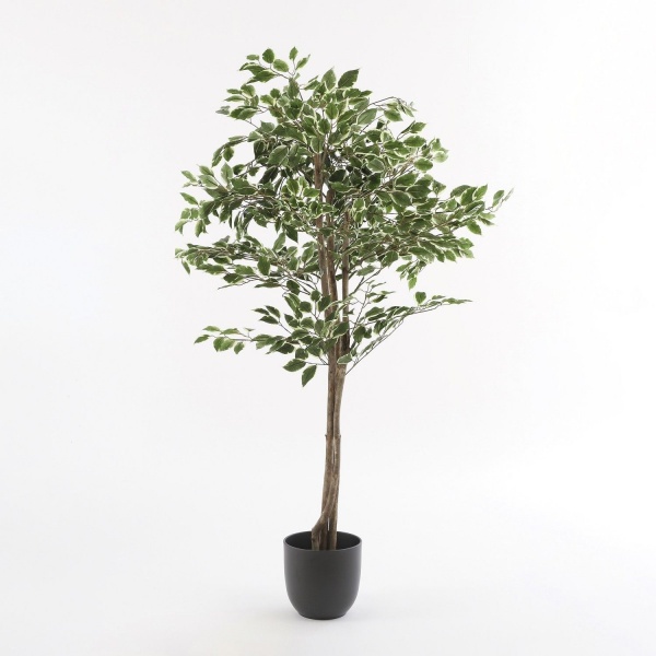 Вазон керамічний Edelman Tusca 25 см круглий 8,95 л чорний (144279) 