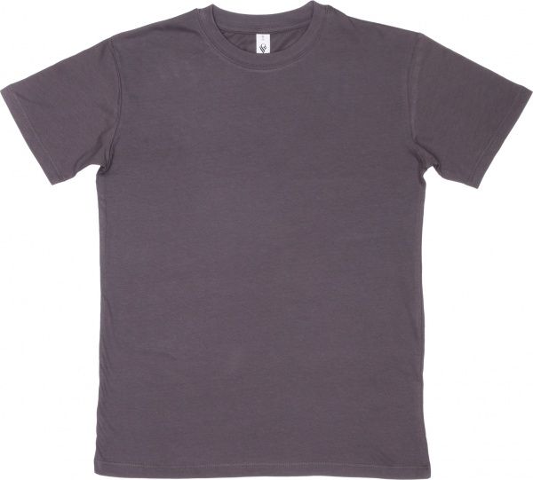 Футболка чоловіча Роза 170201 р. S сірий