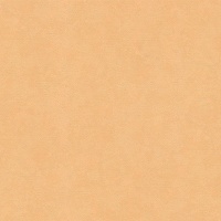 Шпалери Ланіта Ірма СШТ 3-1026 1.06х10.05 м