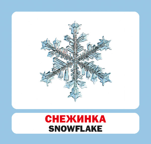 Книга «Времена года. Набор карточек» 9786177686278