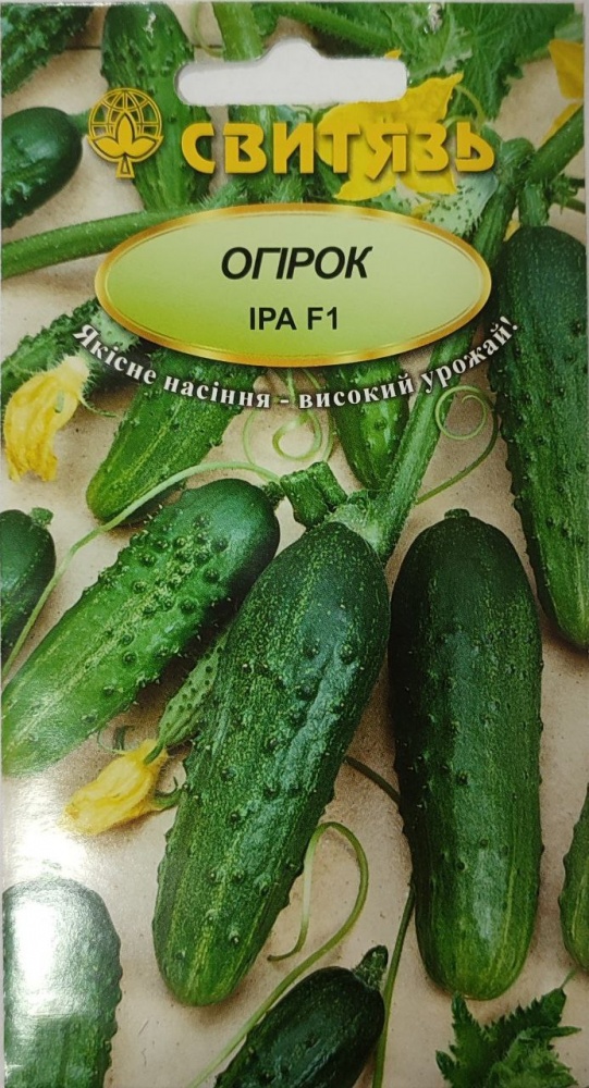 Насіння Світязь огiрок