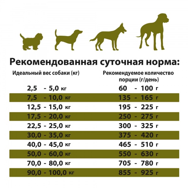 Корм сухой для собак для всех пород German Shephy Silver Lamm & Reis ягнёнок и рис 10 кг