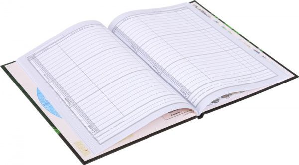 Дневник школьный Panda