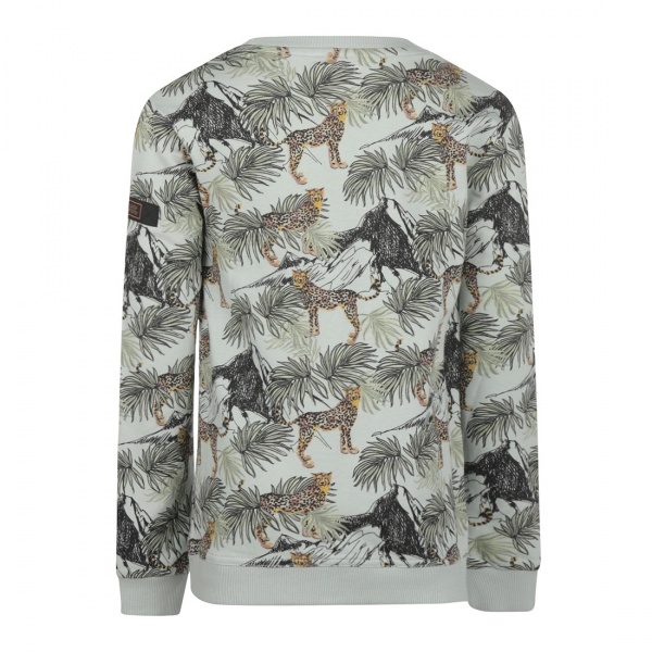 Реглан для хлопчика NWM р.146 світло-зелений U44191-1 