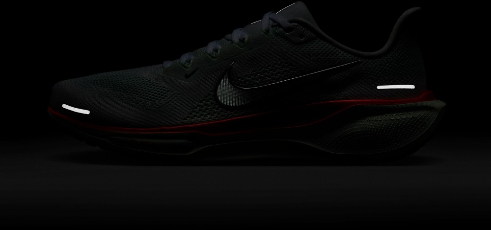 Кросівки Nike PEGASUS 41 FD2722-115 р.43