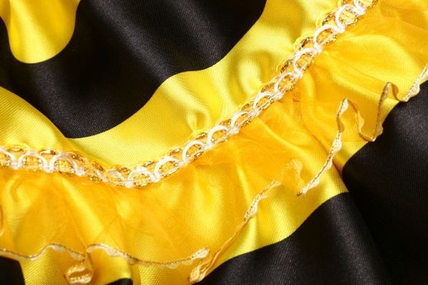 Набір карнавальний КАРНАВАЛІЯ Бджілка р.122 чорний із жовтим 