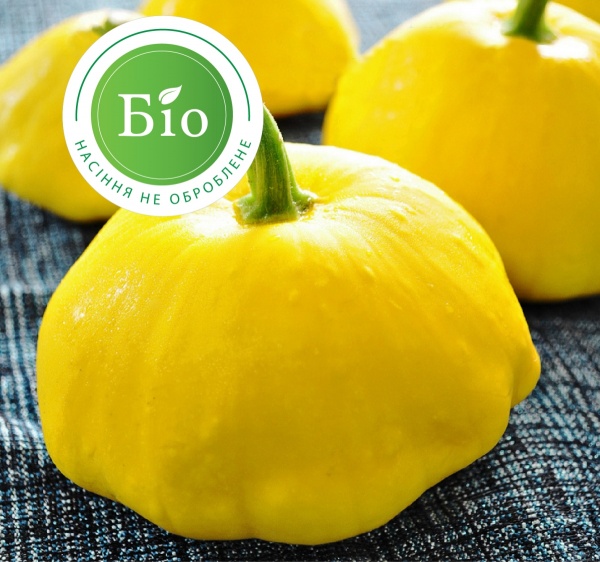 Семена Професійне насіння патиссон Вестерн Санрайз F1 5 шт. (4820176692634)