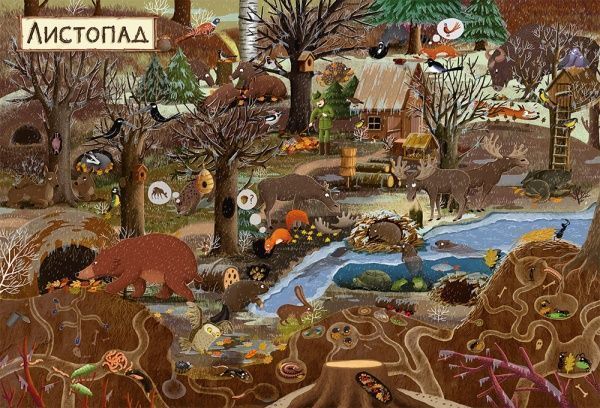 Книга Эмилия Дзюбак «Рік у лісі» 978-617-679-278-9