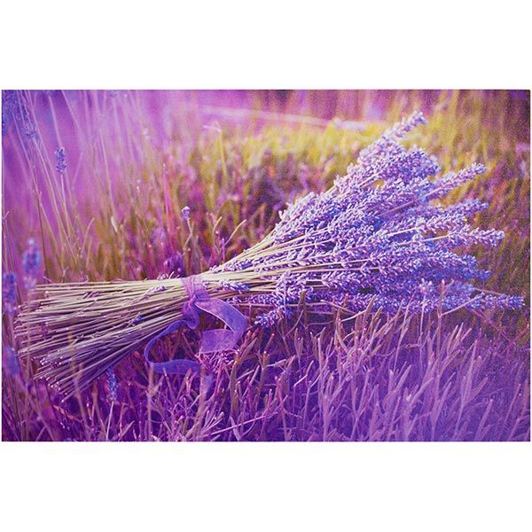 Картина на холсте КП03-045 40x60 см