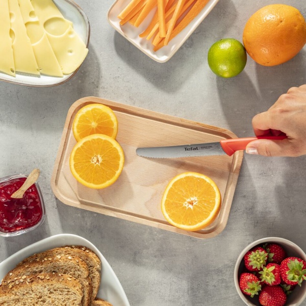 Набор ножей ColorFood 3 предмета K273S304 Tefal