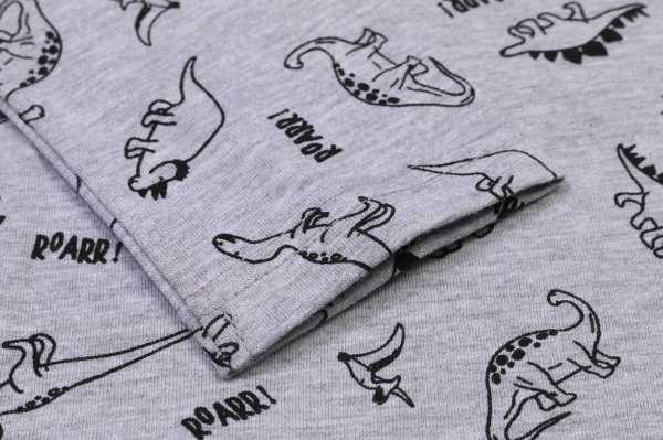 Джемпер для мальчика Funtime Roarr! р.110 серый 