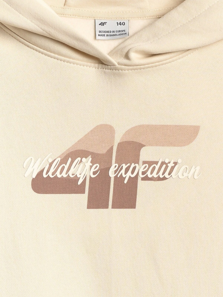 Джемпер 4F SWEATSHIRT F2270 4FJWSS26TSWSF2270-83S р.128 бежевый