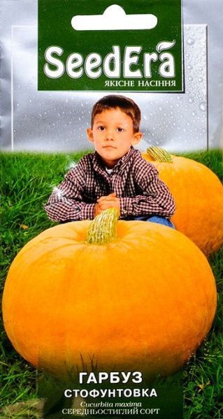 Семена Seedera тыква Стофунтовка 3г