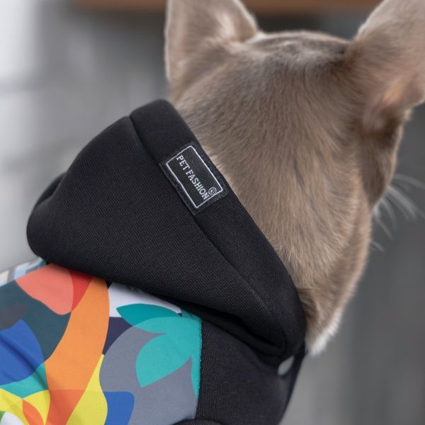 Толстовка с капюшоном Природа The Coolest M