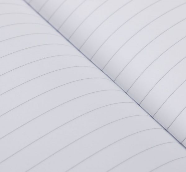 Зошит шкільний А4 80 аркушів у клітинку A4-080-5208L Student Школярик