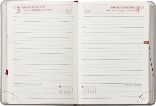 Щоденник 2019 Damaris А6 320 стор. синій 251885 251885 