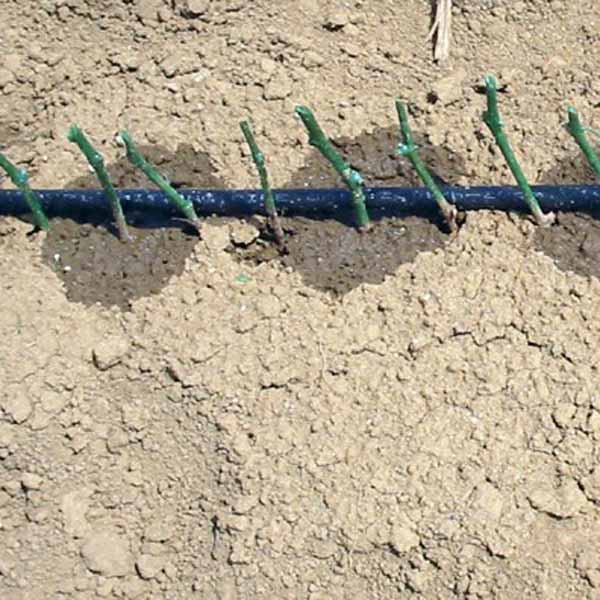 Лента капельного полива Irritec P1 16 мм