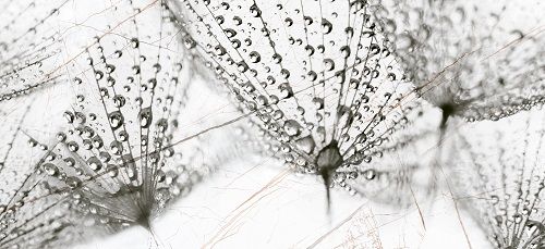 Плитка InterCerama Fancy панно сiра 23х50 / П 225071 