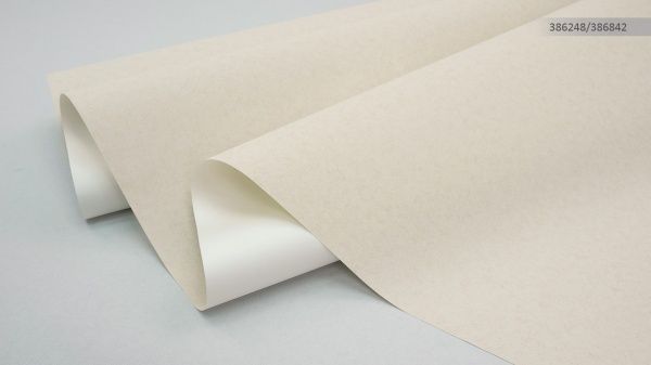 Шпалери вінілові на флізеліновій основі Sintra Eddy/Rosalinda UNI 386842 1,06x10,05 м 