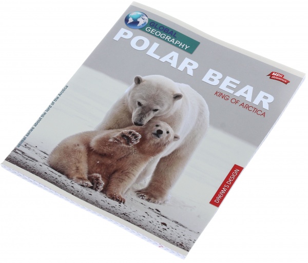 Тетрадь школьная серебро 4 листов в клеточку в ассортименте Мечты сбываются